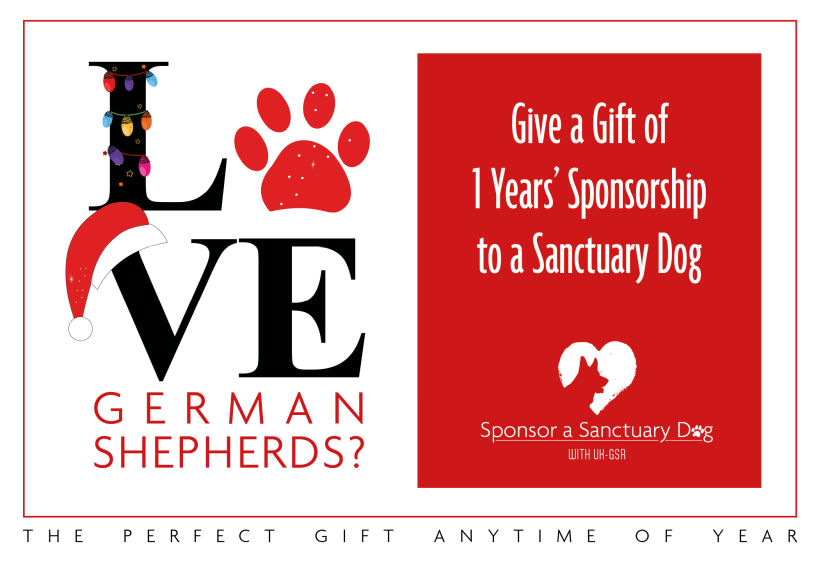Sponsor a sanctuary dog