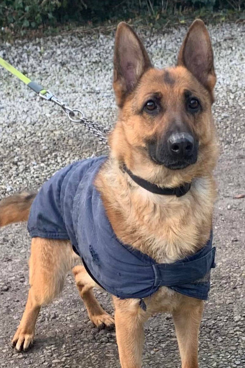 Narla