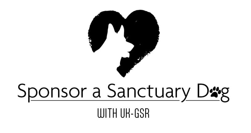 Sponsor a sanctuary dog